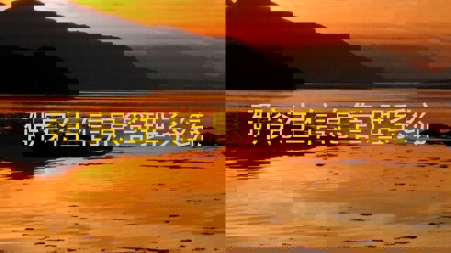 研究生信息管理系统