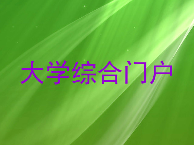 大学综合门户