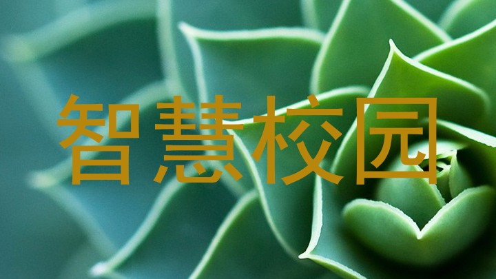 智慧校园