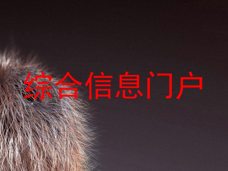 综合信息门户