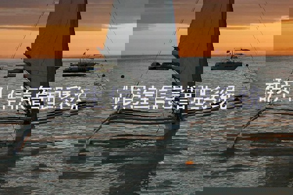 研究生信息管理系统