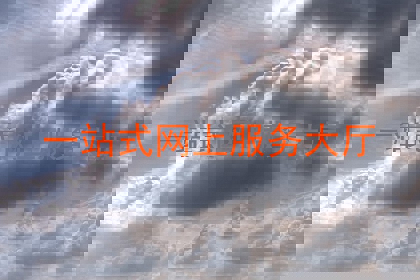 一站式网上服务大厅