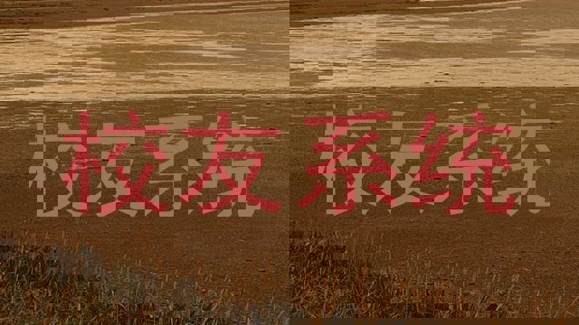 校友系统