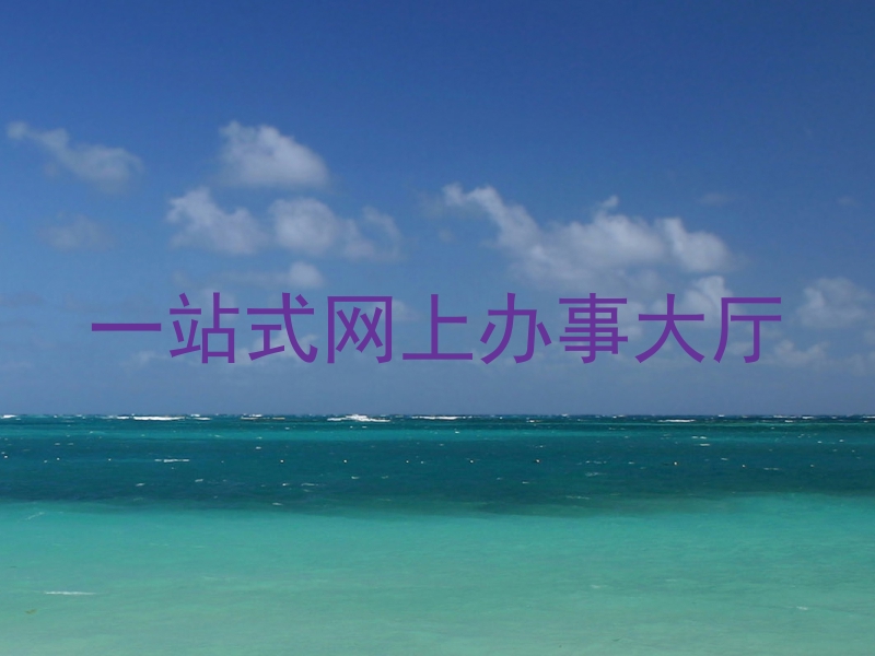 一站式网上办事大厅