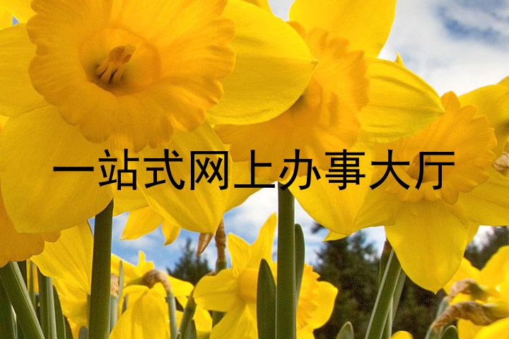 一站式网上办事大厅