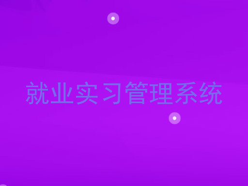 就业实习管理系统