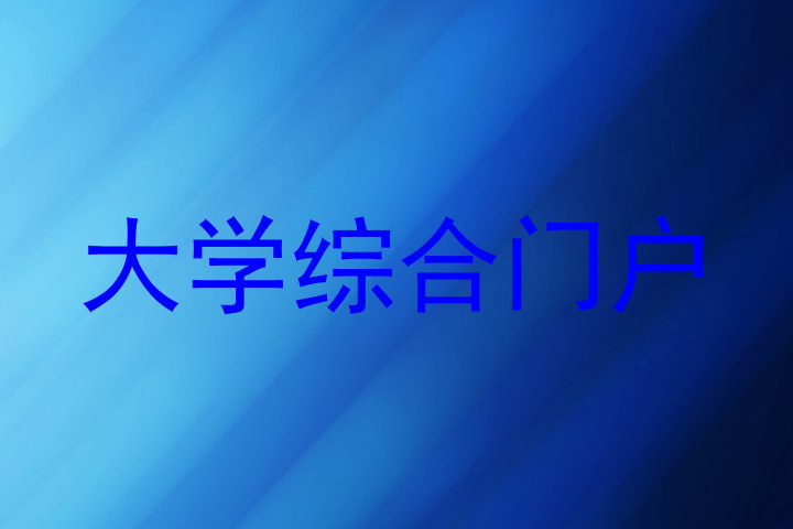 大学综合门户