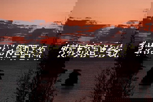 教材发放管理系统