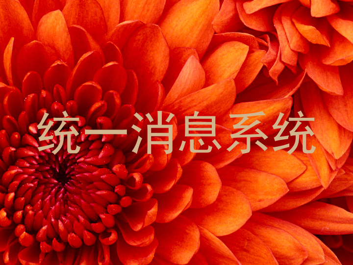统一消息系统