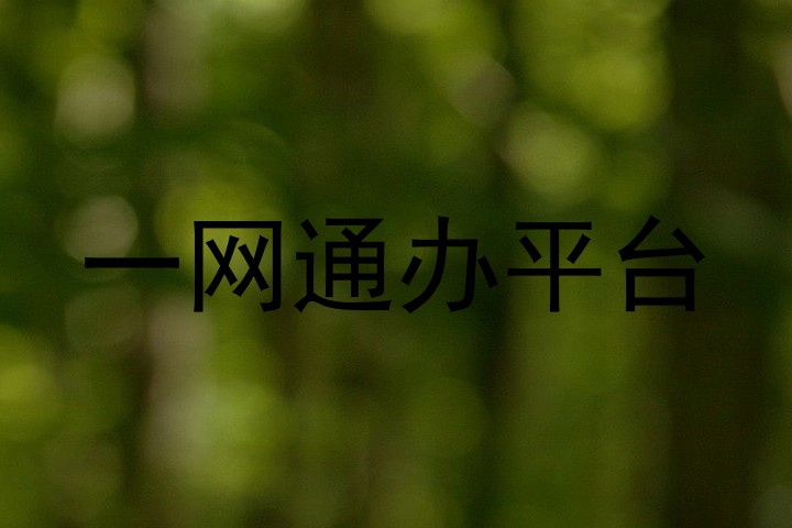 一网通办平台