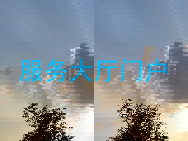 服务大厅门户