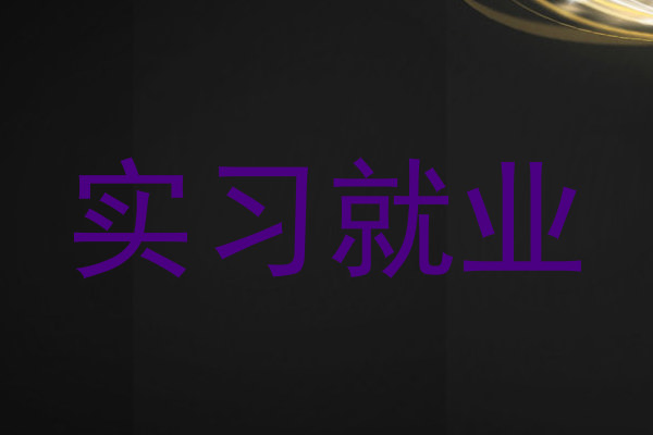 实习就业