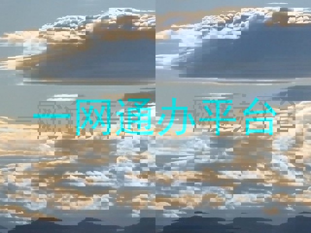 一网通办平台