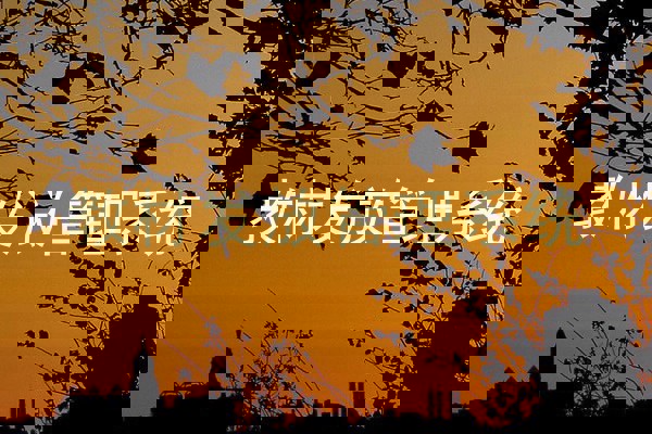 教材发放管理系统