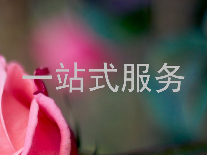 一站式服务