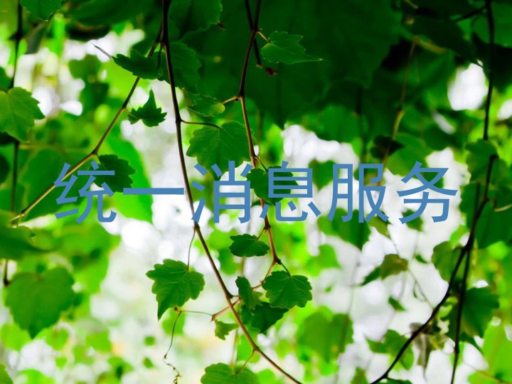 统一消息服务
