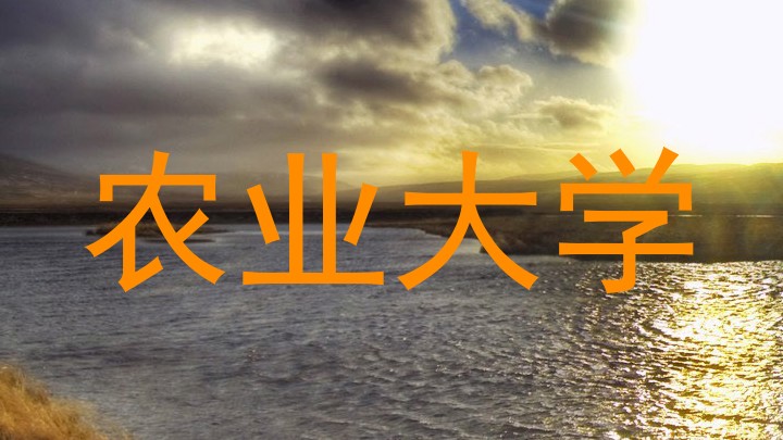 农业大学