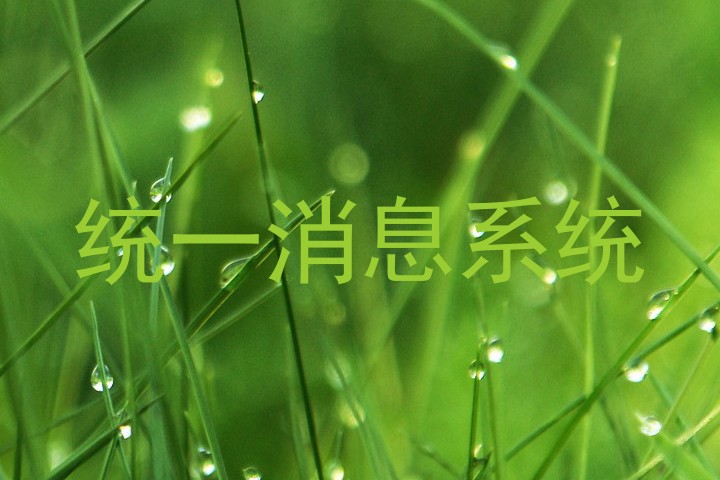 统一消息系统