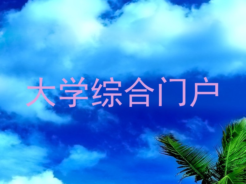 大学综合门户
