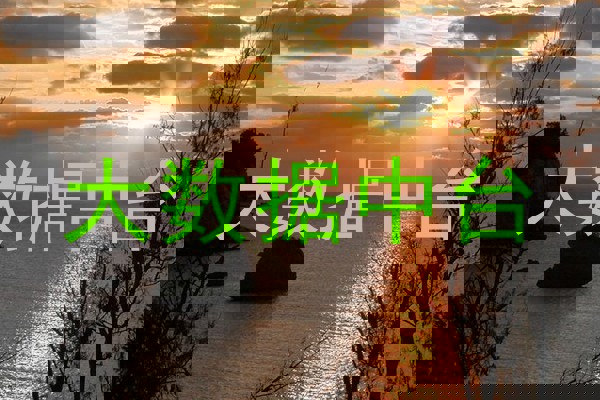 大数据中台