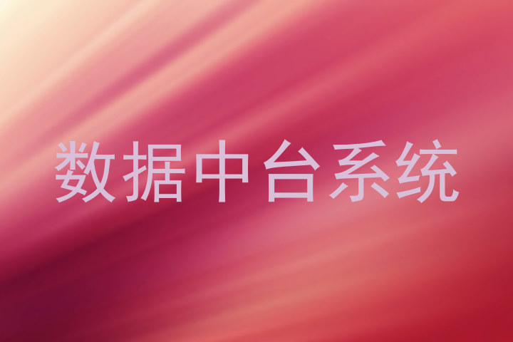 数据中台系统