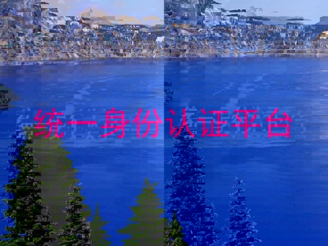 统一身份认证平台