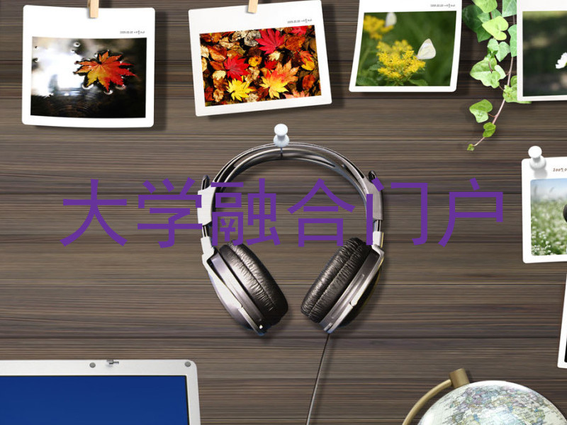 大学融合门户