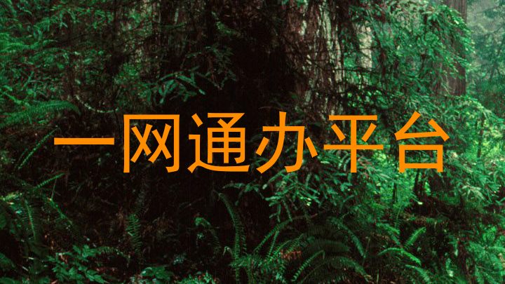 一网通办平台