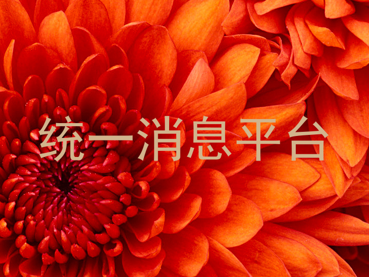 统一消息平台
