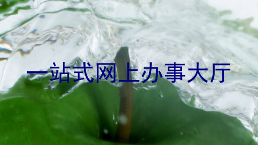 一站式网上办事大厅
