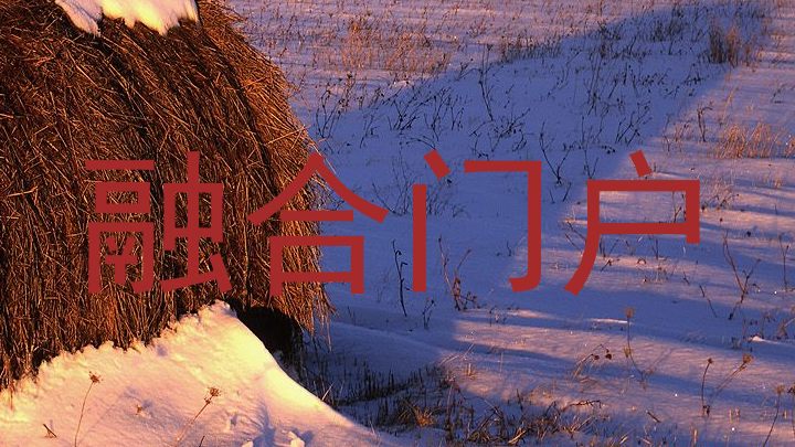 融合门户