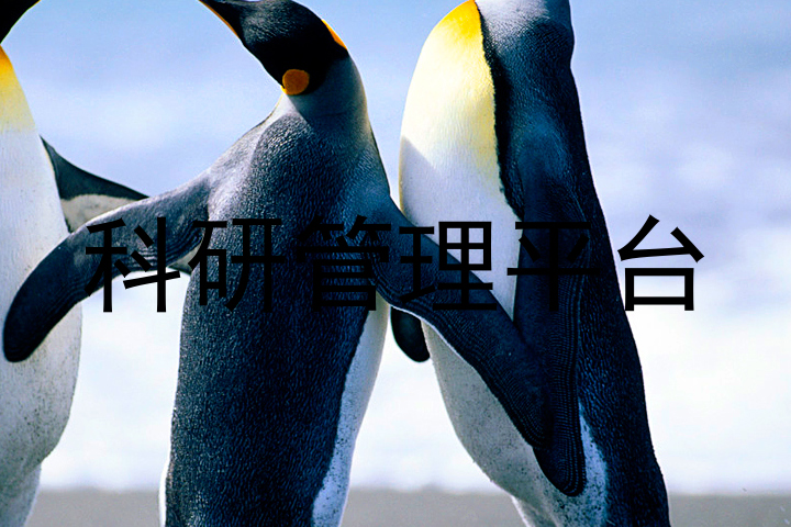 科研管理平台
