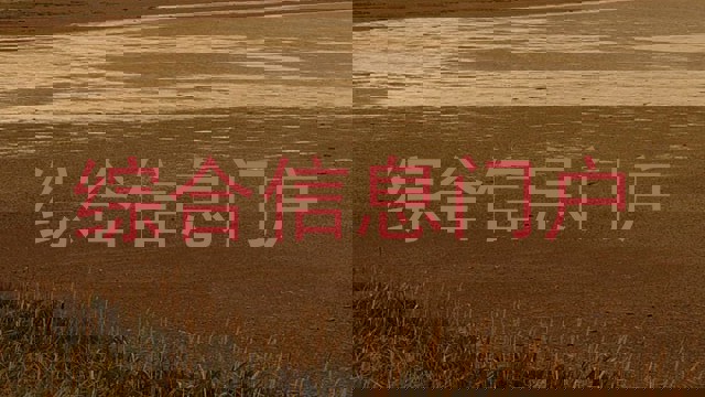 综合信息门户