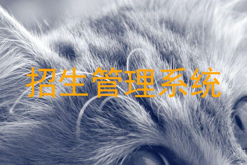 招生管理系统