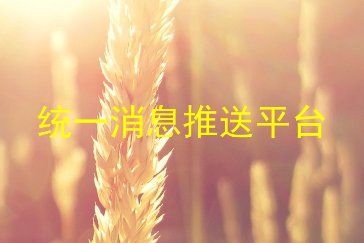 统一消息推送平台
