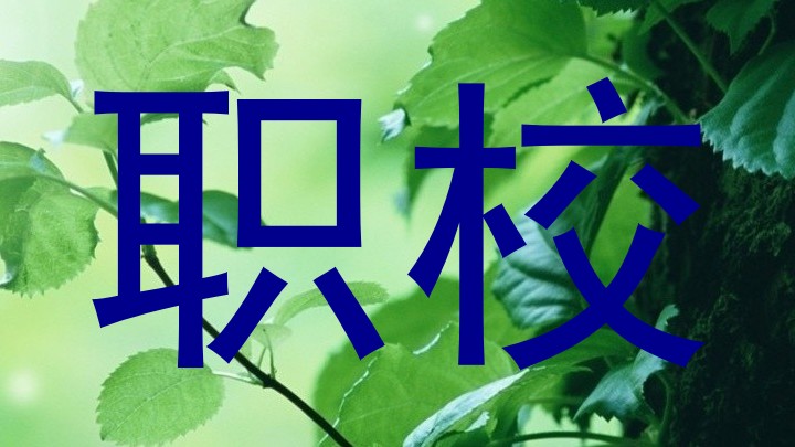 职校