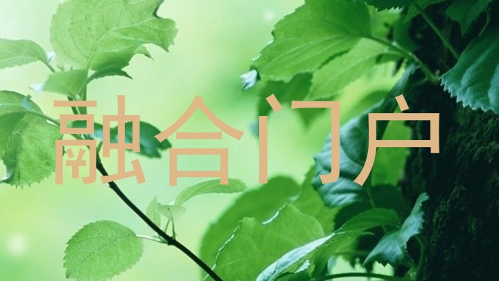 融合门户