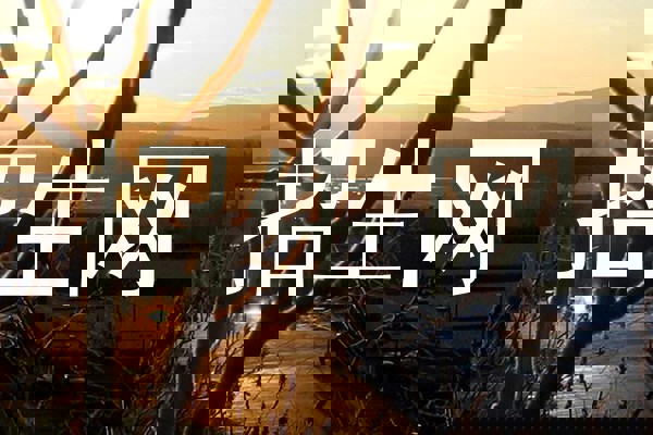招生网