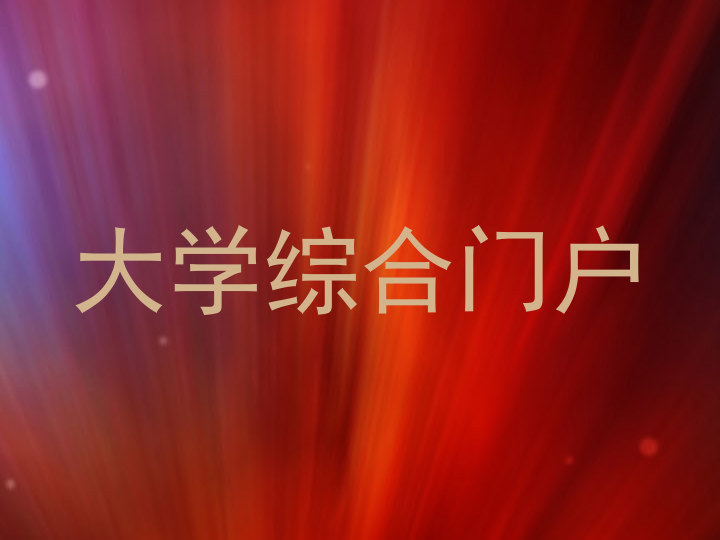 大学综合门户