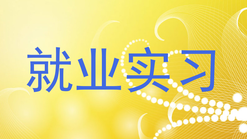 就业实习