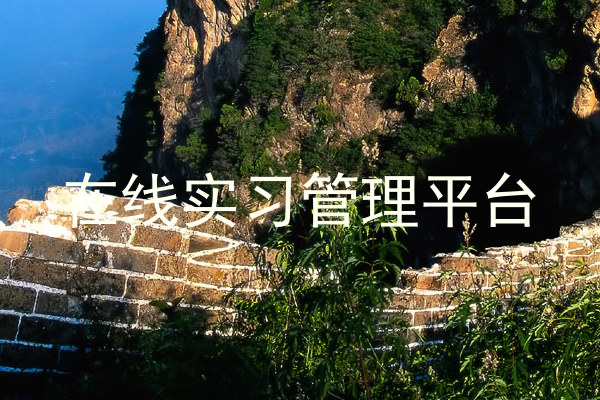 在线实习管理平台