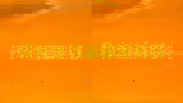 研究生信息管理系统
