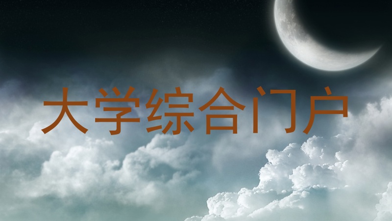 大学综合门户