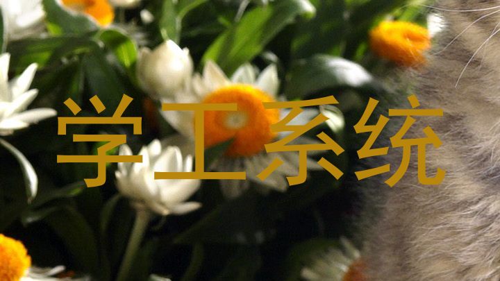 学工系统