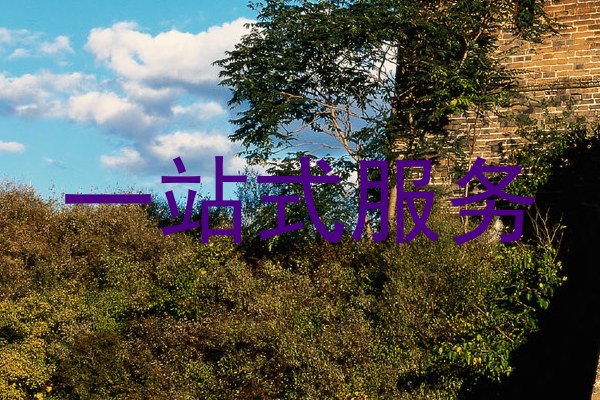 一站式服务