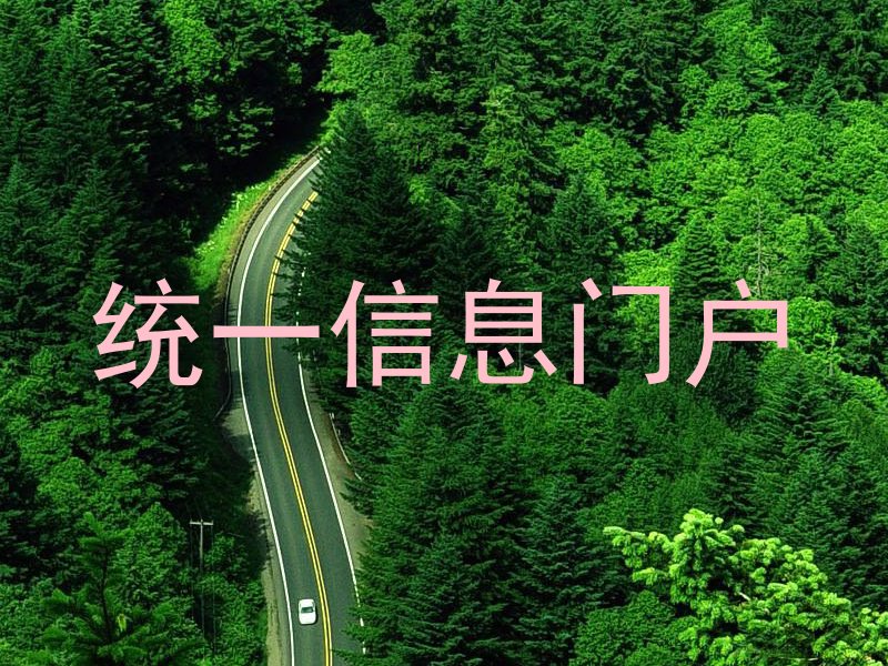 统一信息门户