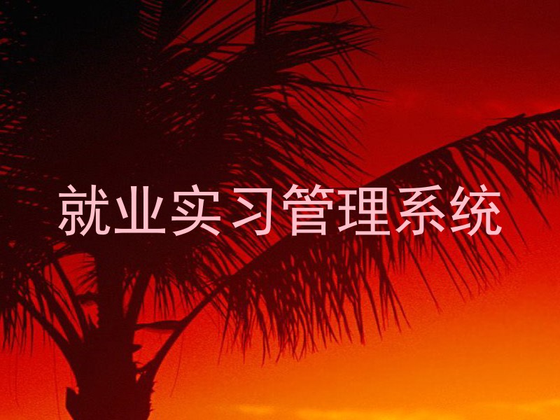 就业实习管理系统
