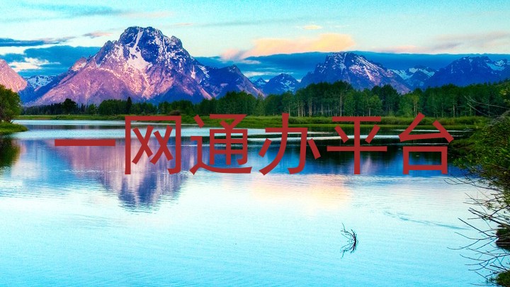一网通办平台