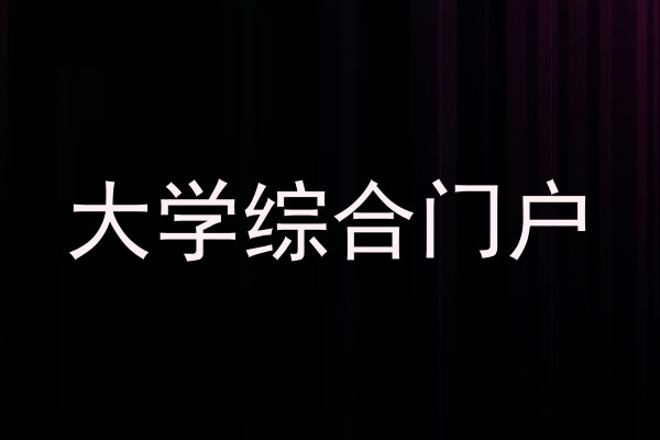 大学综合门户