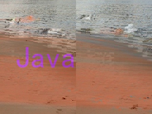 Java
